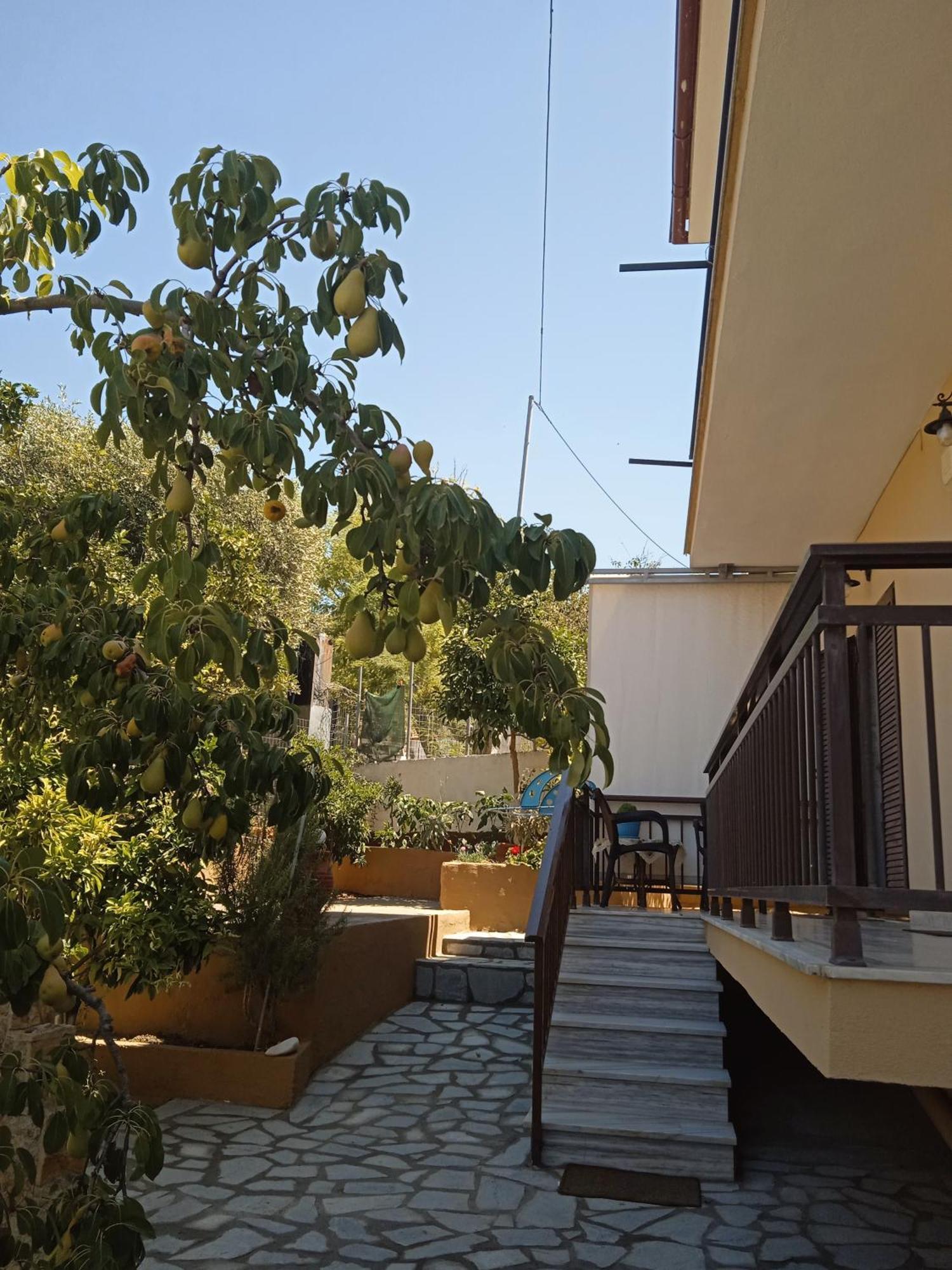Dimitra'S Garden Apartments Skála Kallirákhis Exterior foto